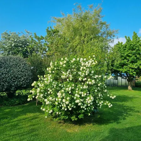 La Grange Des Bruyeres 3* Ige (Orne)