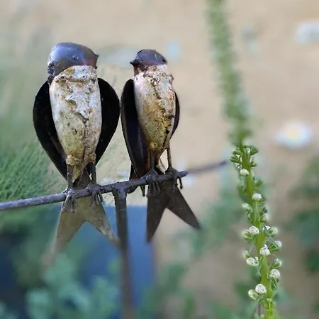 La Grange Des Bruyeres 게스트하우스