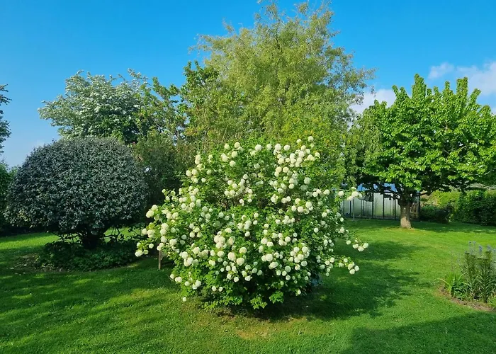 La Grange Des Bruyeres 3* Ige (Orne)