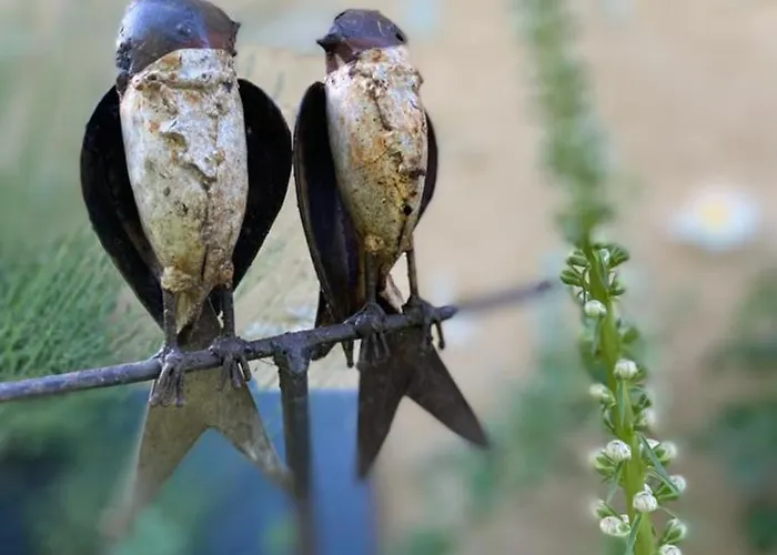 La Grange Des Bruyeres Гостевой дом
