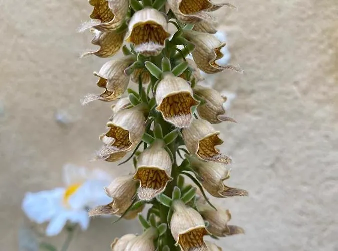 La Grange Des Bruyeres 3*