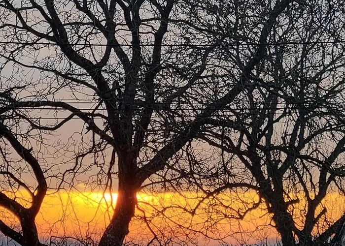 Гостевой дом La Grange Des Bruyeres